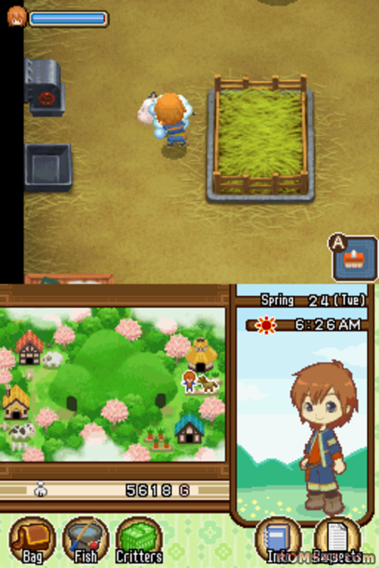 harvest moon tale of two towns fishing rod