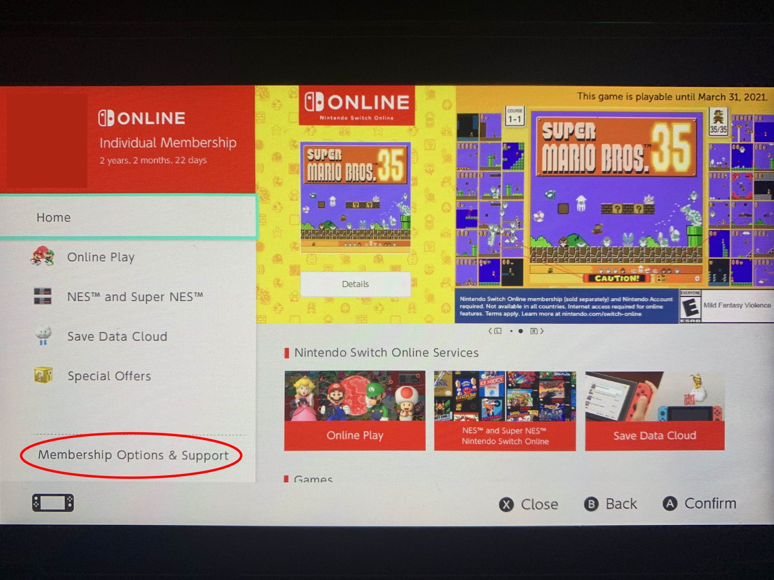 how to use google in nintendo switch
