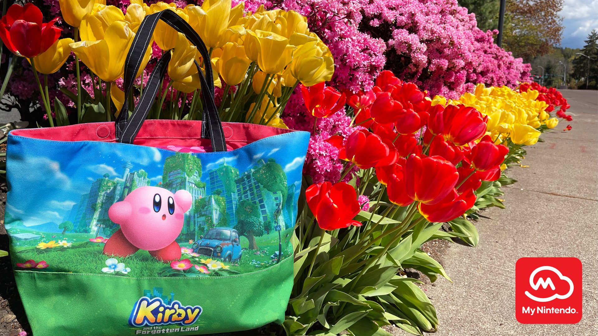 Enter the My Nintendo Spring Break With Kirby Sweepstakes! - News -  Nintendo Official Site